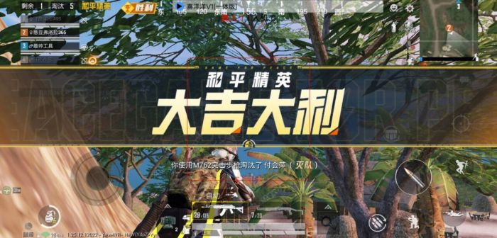 和平精英隐藏身法辅助怎么用（和平精英身法走位怎么用）